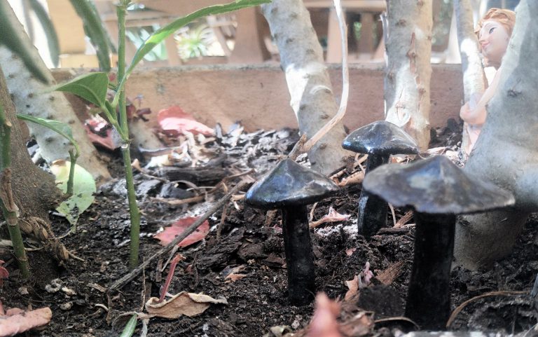 Ceramics, black mushroom, garden sculpture, fairy garden